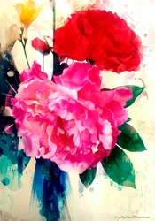 Peony and Poppy, 2014